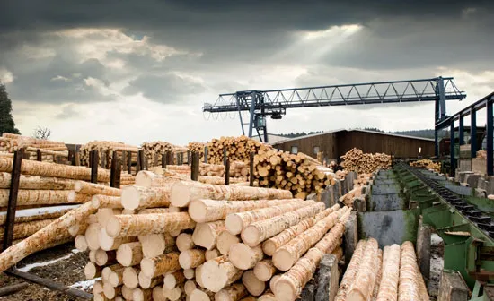 Buy Walkie Talkies UK